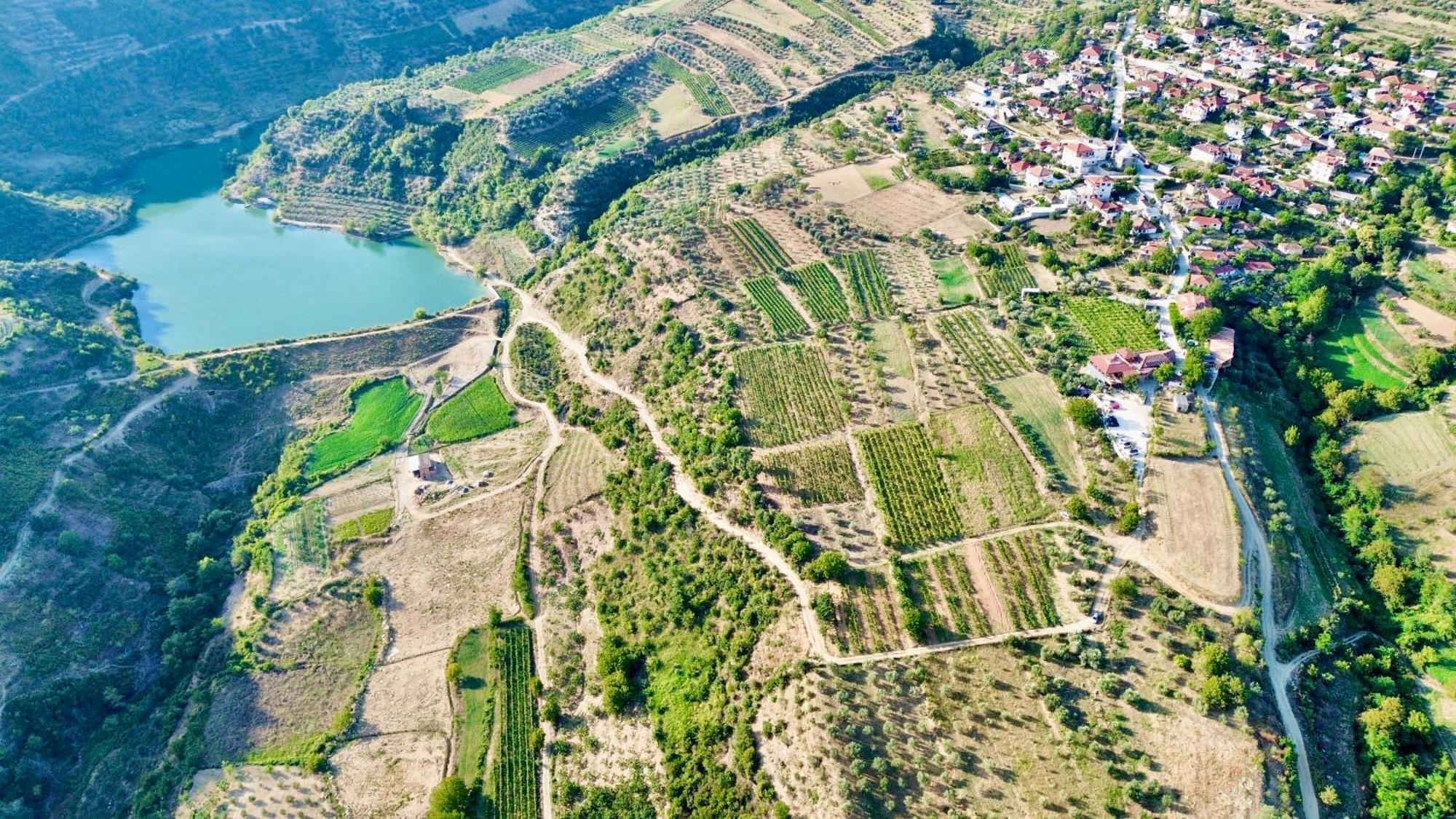 Alpeta Agrotourism & Winery - Roshnik , Berat Hotel Exterior photo