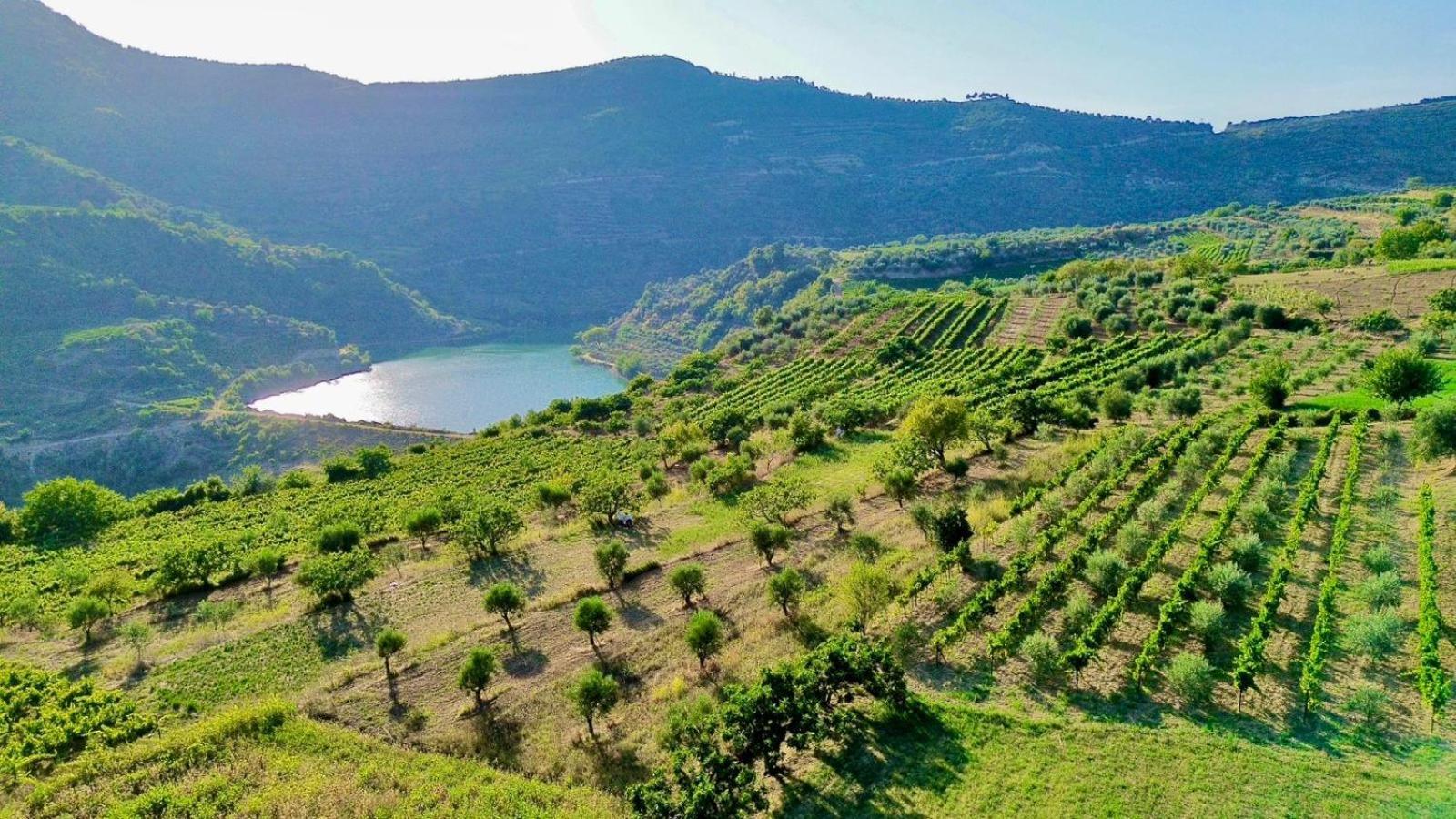 Alpeta Agrotourism & Winery - Roshnik , Berat Hotel Exterior photo